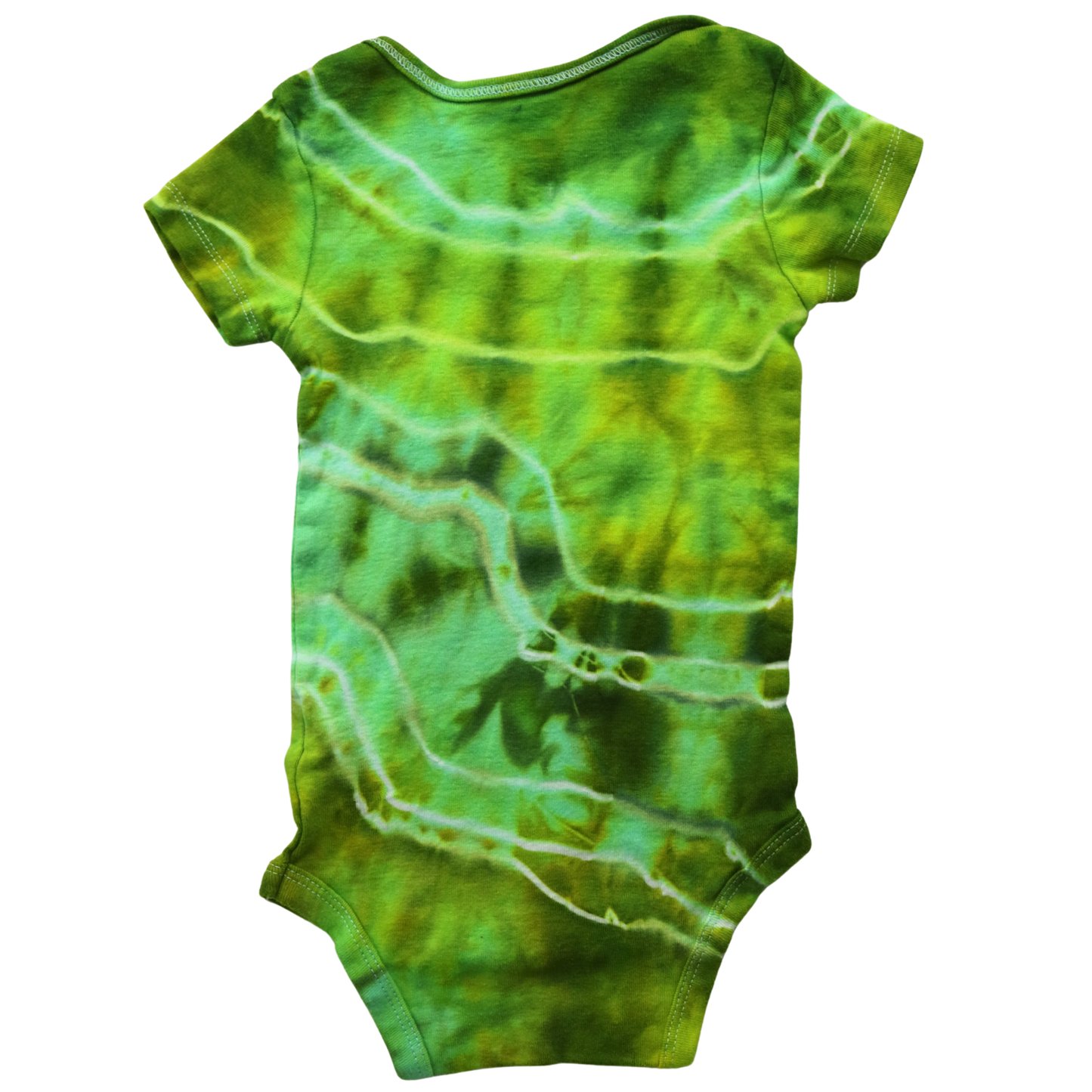 Algae - 12mo Short Sleeve Onesie
