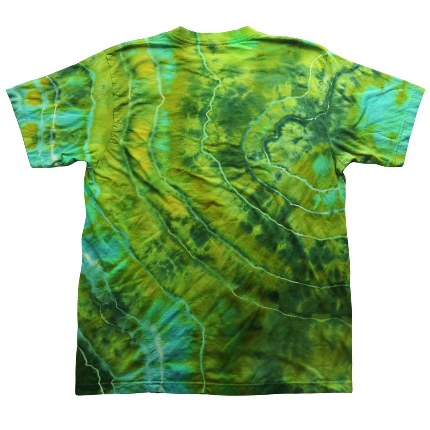 Algae - Adult L Tshirt