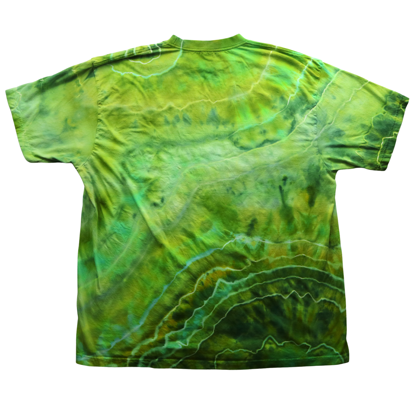 Algae - Adult 2XL Tshirt